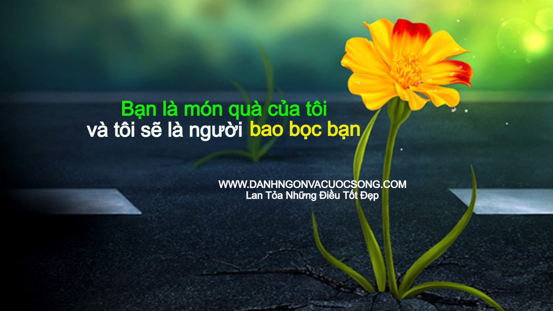 BST 100 Hình ảnh câu nói hay về cuộc sống tươi đẹp vô cùng ý nghĩa